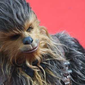 تشوباكا إحدى الشخصيات الأساسية في حرب النجوم