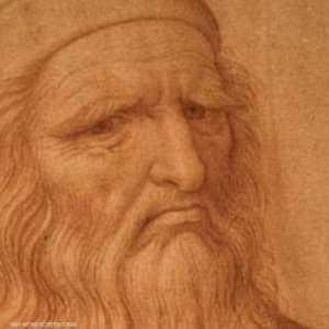 صورة دافنشي التي استندت إليها الدراسة