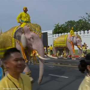 مسيرة أفيال لتحية ملك تايلاند