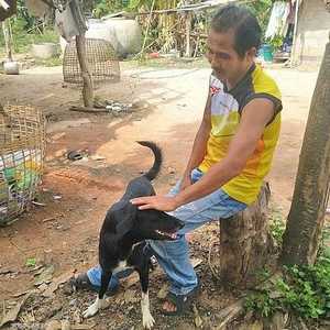 الكلب بينغ بونغ نال إشادات واسعة