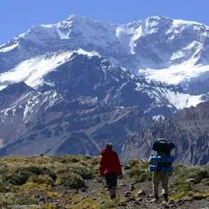 كان مع الرجل الذي عثر عليه حقيبة تحتوي على وثائق.