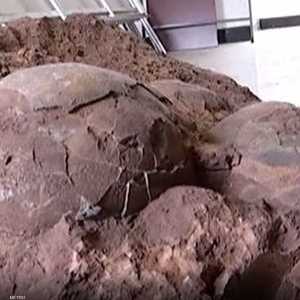 الحفريات يعود تاريخها إلى أواخر العصر الطباشيري