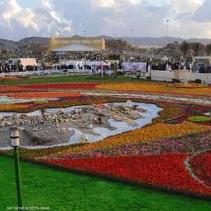 ورد مدينة الطائف يعد من أجود الأنواع في العالم