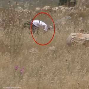 الجيش الإسرائيلي يعترف: المستوطنون أشعلوا النار