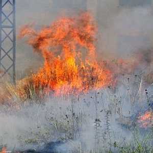 حرائق في سوريا بسبب موجة الحر الأخيرة