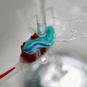 رأس الفرشاة يشهد نموا بكتيريا مضاعفا