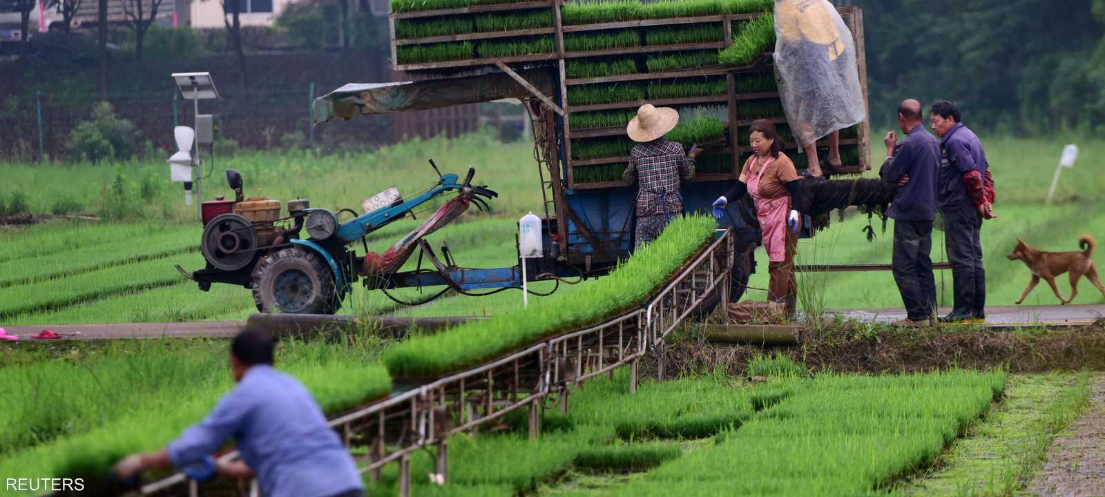 زاد مؤشر فاو لأسعار الحبوب 1.4 في المئة.