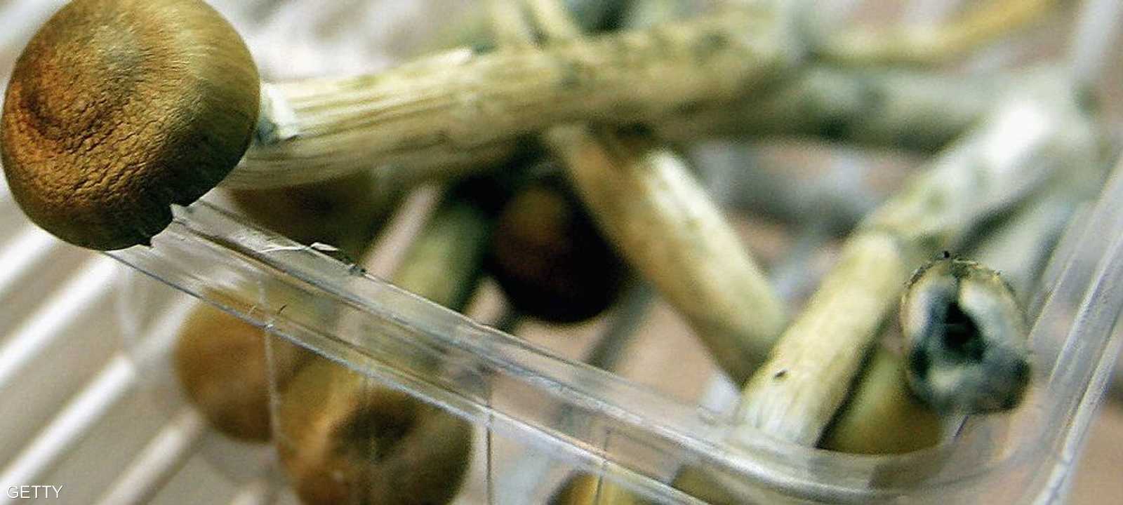 الفطر السحري سيكون أقل تسببا بالمضاعفات الجانبية