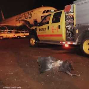 أرشيفية للهحوم الحوثي السابق على مطار أبها (أرشيف)