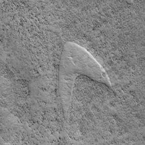 شكل ستار تريك على سطح المريخ