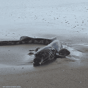 الصورة أثارت تفاعلا واسعا على المنصات الاجتماعية