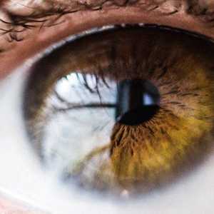 العين من أكثر الببئات الطاردة للمكروبات