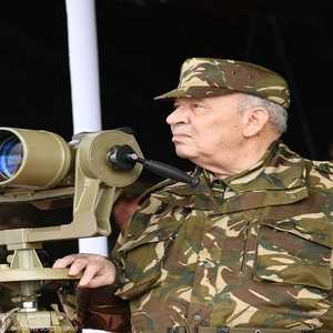 رئيس أركان الجيش الجزائري الفريق قايد صالح