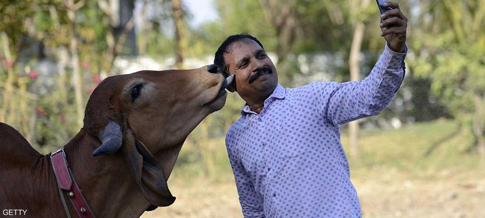 عدد قتلى السيلفي تزايد كل عام.