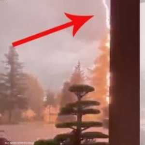 عاصفة رعد تحرق شجرة