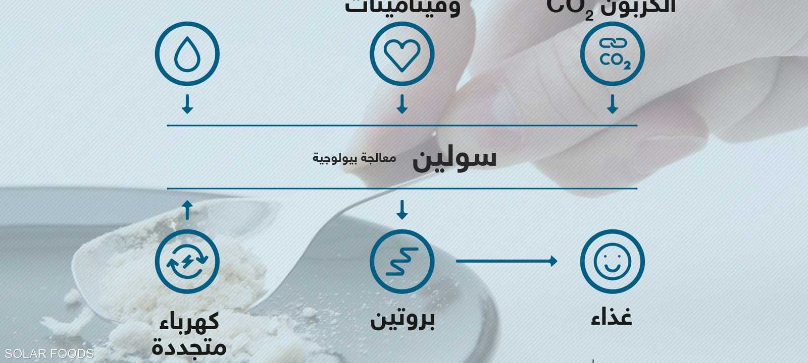 الغذاء الشمسي.. مصدر غذاء المستقبل