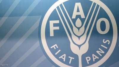 فاو: أسعار الغذاء العالمية تهبط