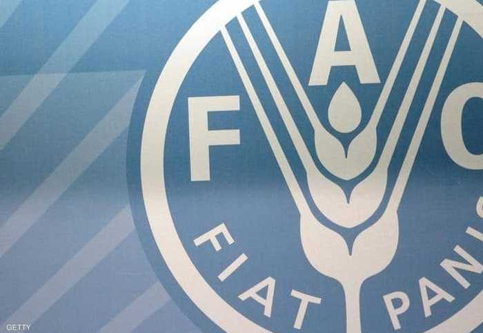 فاو: أسعار الغذاء العالمية تهبط