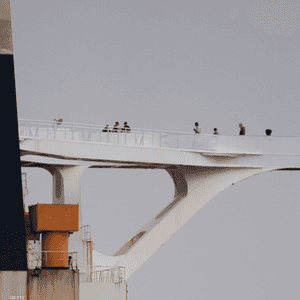 أفراد طاقم الإيرانية وهم على متن الناقلة