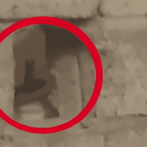 فيديو يرصد انتشار قناصة الحوثيين في الحديدة