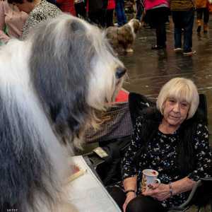 الحيوانات والمسنين.. دراسة تكشف العلاقة الإيجابية