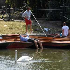 موجة حر شديدة تضرب بريطانيا ودولا أوروبية