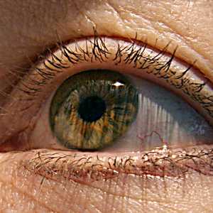 صنع العمءا عدسة لاصقة روبوتية تسمح بالتكبير بحركة العين