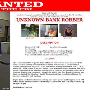 مكتب التحقيقات الفيدرالي يطارد النمرة الوردية