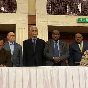 يحدد الإعلان الدستوري واجبات ومسؤوليات مجلس السيادة