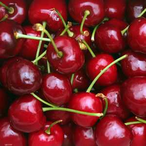 الكرز يساهم في خفض الكوليسترول الضار وضغط الدم.