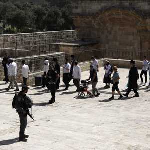 اقتحام المستوطنين لباحات الأقصى عادة ما يحرسها جنود الاحتلال