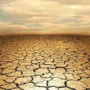 تزايد حرارة الأرض يؤدي لمخاطر على الكوكب.. والطعام