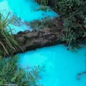 لون أزرق شديد السطوع في جدول بجزيرة سومطرة