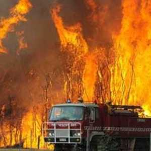 حريق الجزيرة يطرد 5 آلاف إسباني من منازلهم