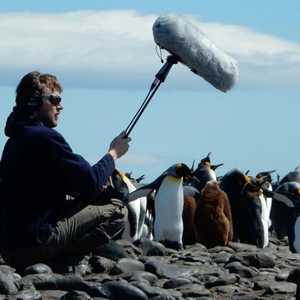 الفنان الفرنسي كان في رحلة لتسجيل أصوات الطبيعة عندما قتل