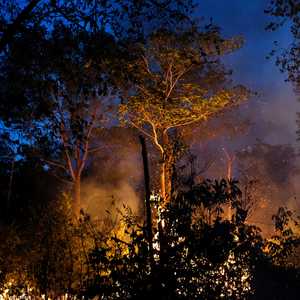 حرائق الأمازون تستعر بشدة