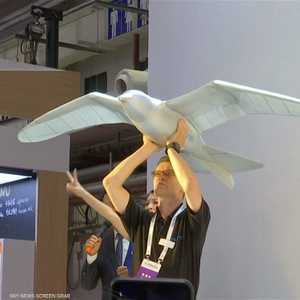 روبوت على هيئة طائر في الصين