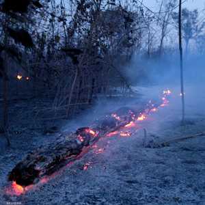 تقول البرازيل إن حرائق الأمازون أمر سنوي طبيعي.