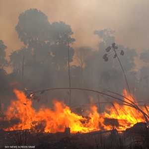 البرازيل ترفض مساعدة بـ 20 مليون دولار من قمة الـ7