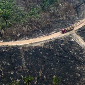 جانب من حرائق الأمازون