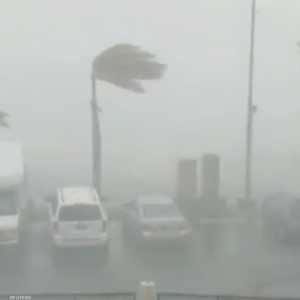 دوريان تدك سينت توماس في جزر العذراء