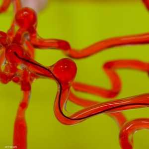 لا يتجاوز عرض الروبوت 0,5 مم.