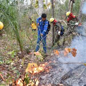 رئيس بوليفيا يشارك في إطفاء حرائق الغابات في بلاده