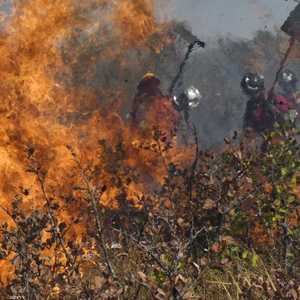 حرائق الأمازون.. هائلة