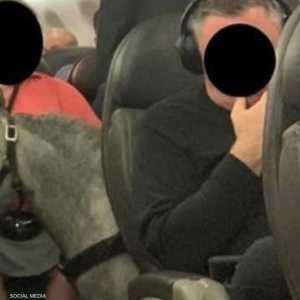 الفرس رفقة صاحبتها في قمرة الركاب