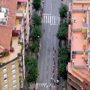 مزرعة الحشيش الصغيرة على سطح البناية