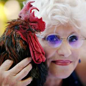 الديك وصاحبته كورين فيسو