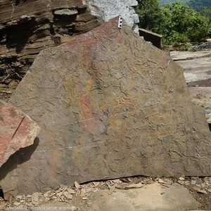 أحفورة تحمل آثار مسيرة الموت