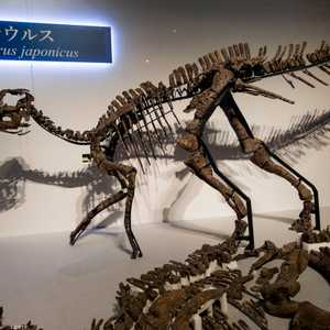 الديناصور الضخم يعود إلى 72 مليون سنة