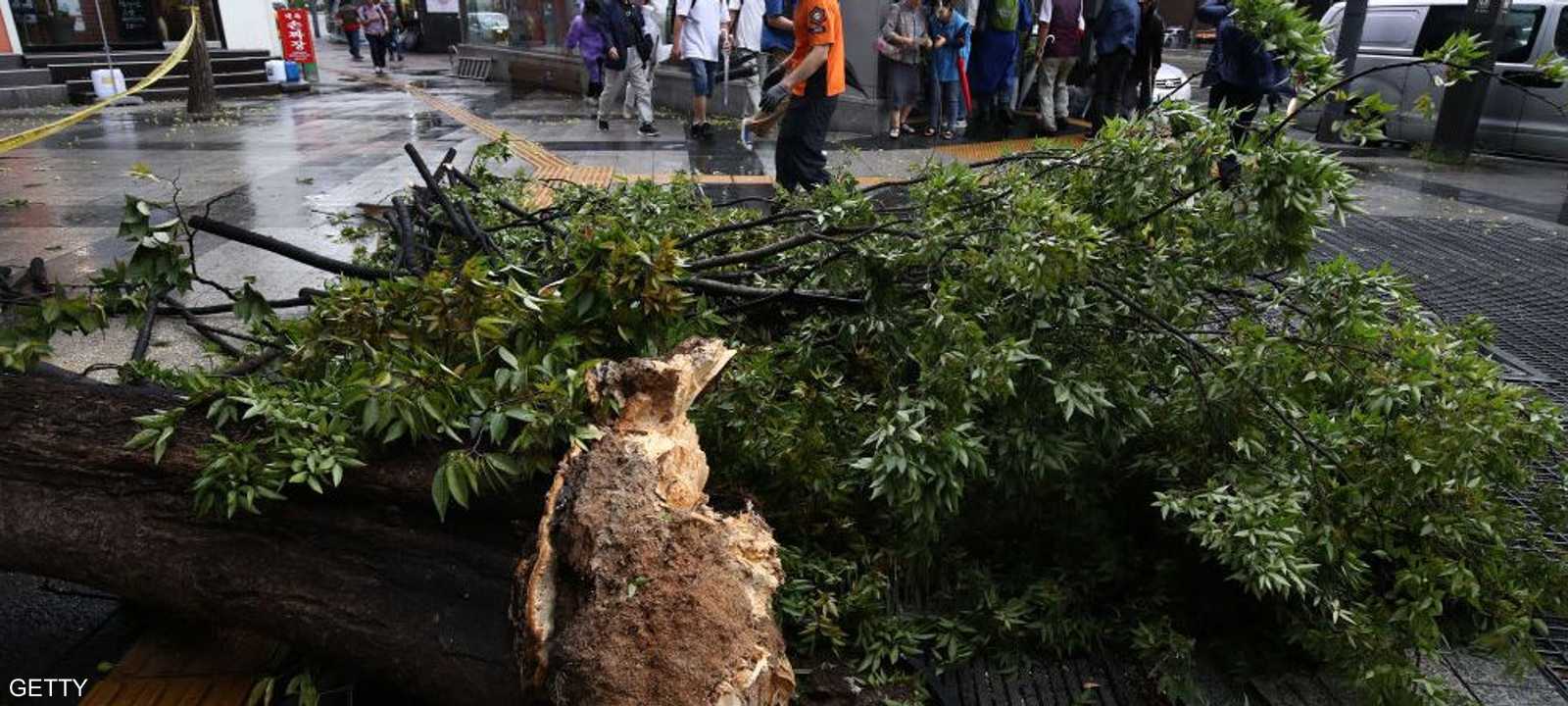 الإعصار ضعف عندما تحرك نحو كوريا الشمالية